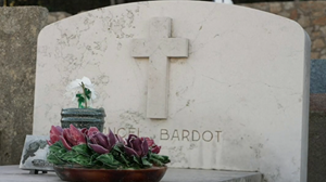 video3