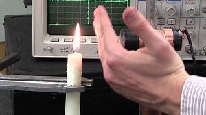 熱を吸収する植物 - ゴムの木