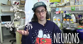 video1