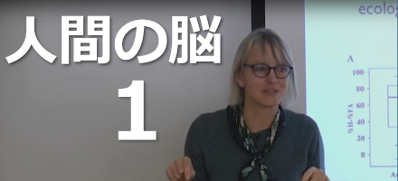 [MIT] 人間の脳 Part 1