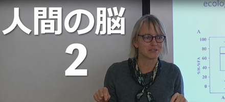 [MIT] 人間の脳 Part 2