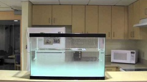 video8
